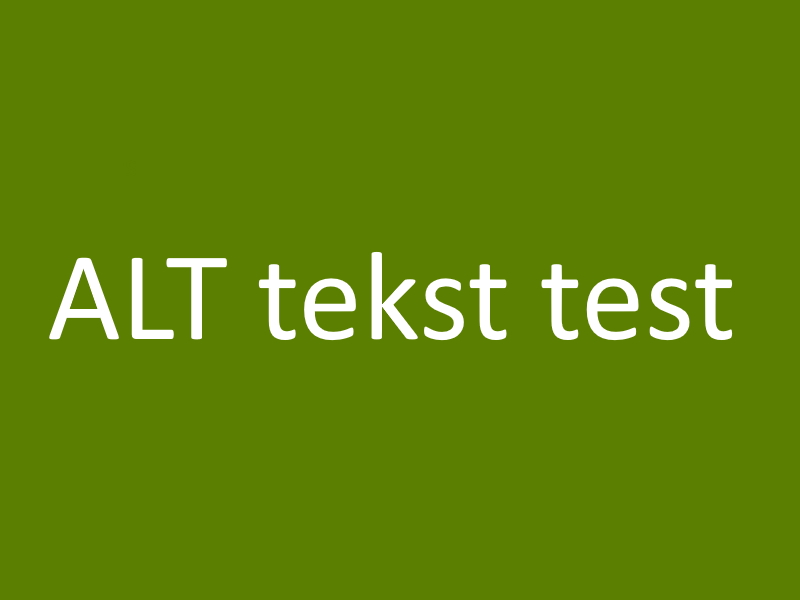 Media: ALT tekst